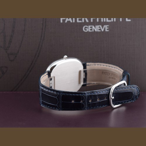 Golden Ellipse Platinum Blue New 2009