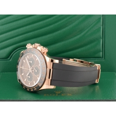 116515LN Chocolate Dial Rose Gold - New 2022