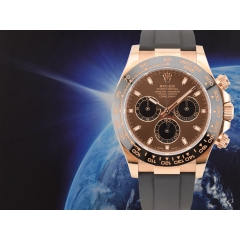 116515LN Chocolate Dial Rose Gold - New 2022