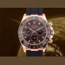 116515LN Chocolate Dial - New Discontinued 2023